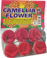 camellia_flower