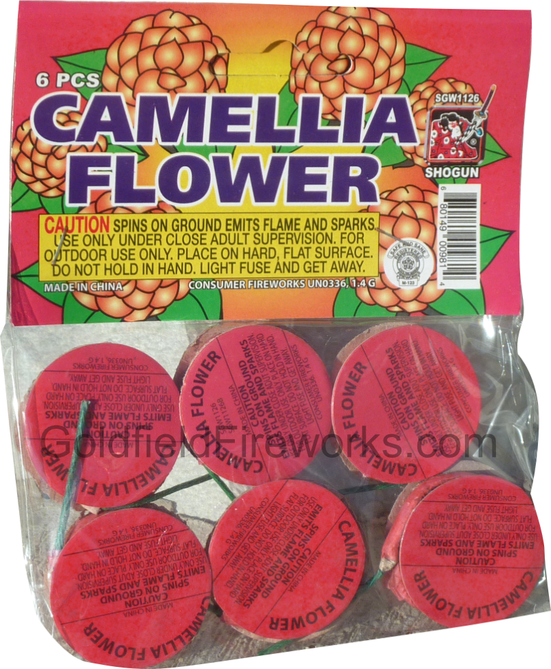 Goldfield Fireworks - Goldfield, Nevada - Camellia Flower